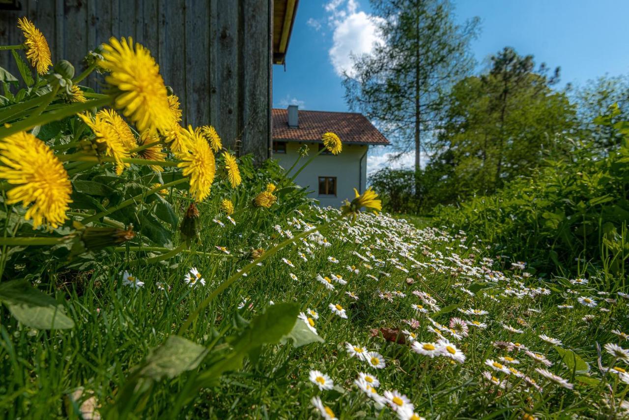 Ferienhaus Schlierachtal Miesbach Zewnętrze zdjęcie